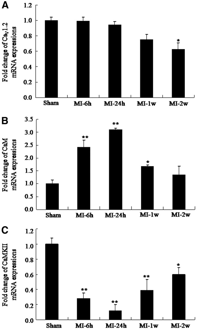 FIG. 2.