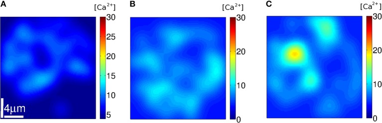 Figure 10