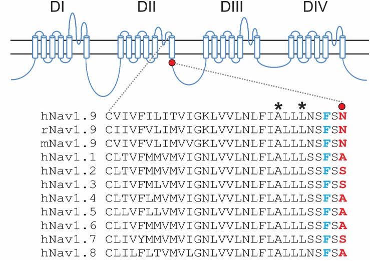 FIGURE 1