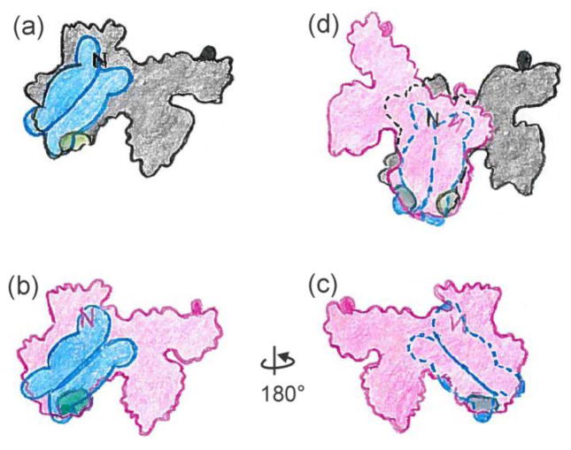 Figure 12