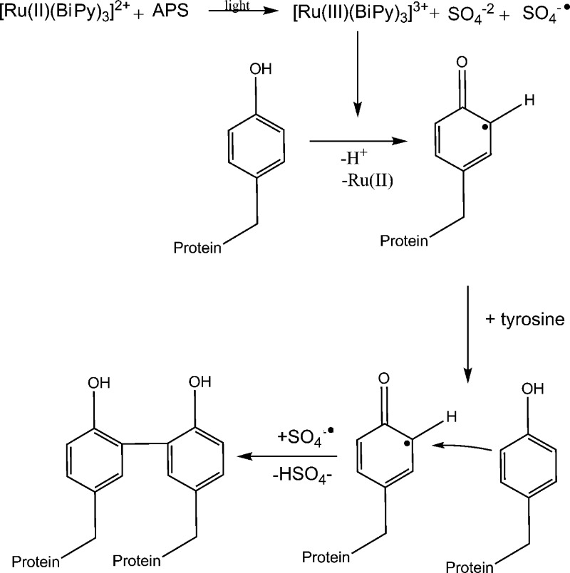 Scheme 2