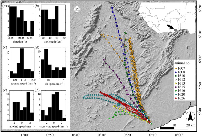 Figure 1.