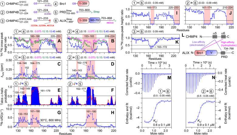 Fig. 6.