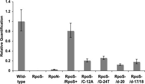 FIG. 5.