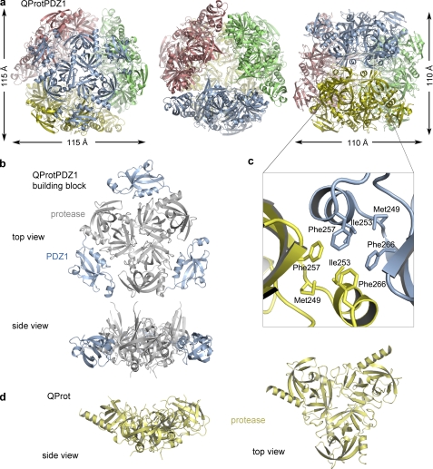 FIGURE 2.