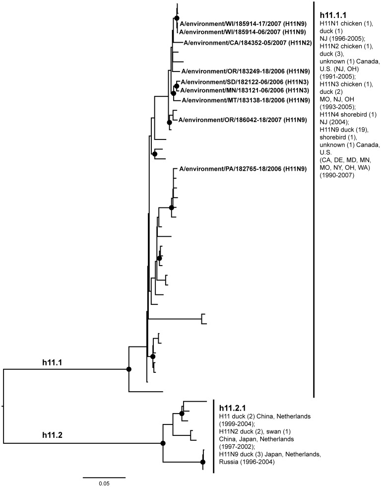 Figure 11