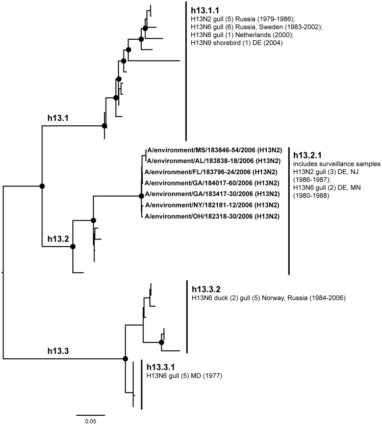 Figure 13