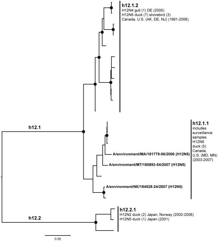 Figure 12