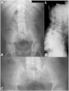 Fig 1