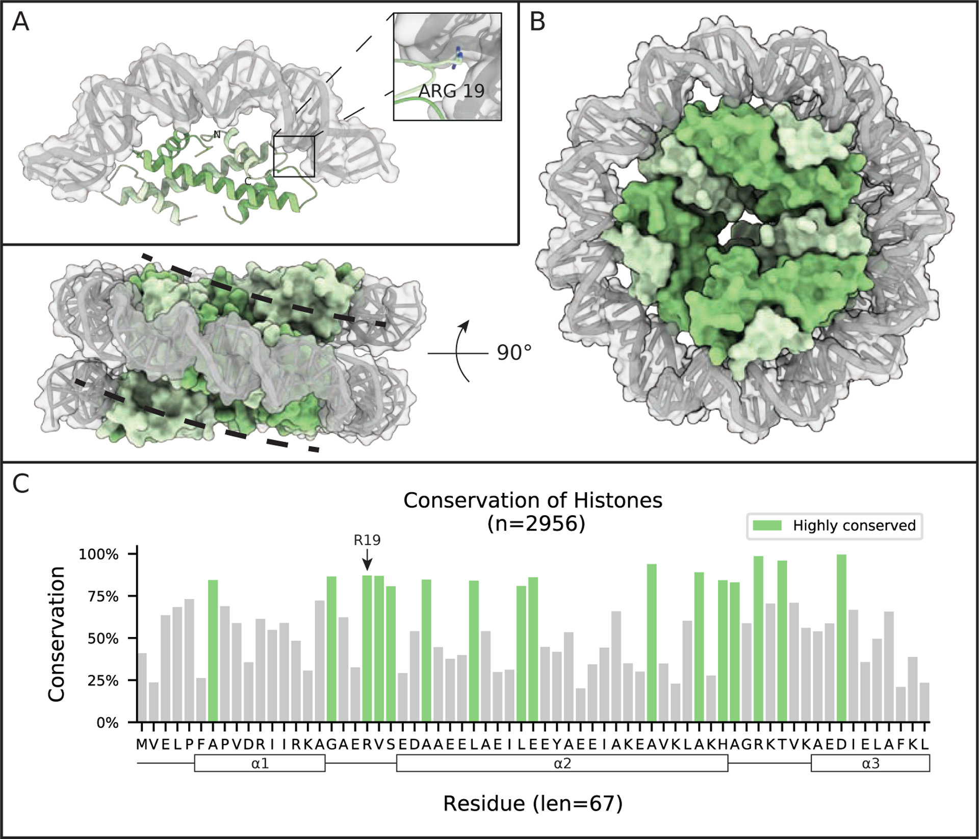 Figure 2: