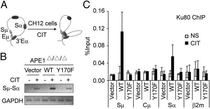 Fig. 5.