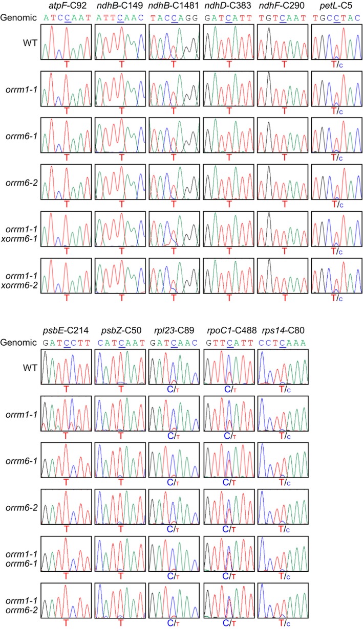 Figure 5