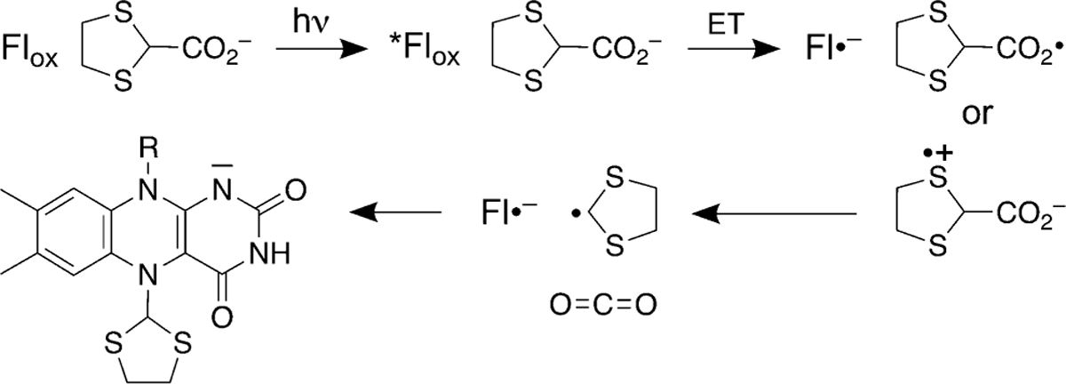 Figure 8.