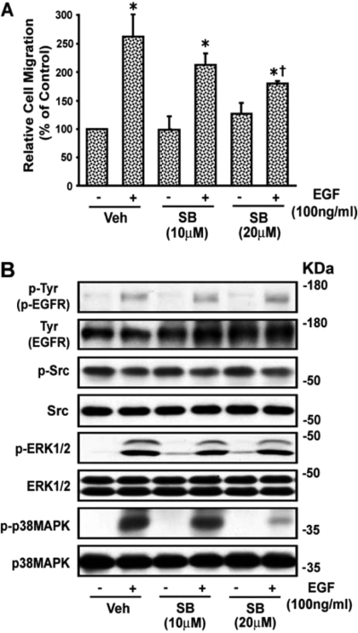 Fig. 9.