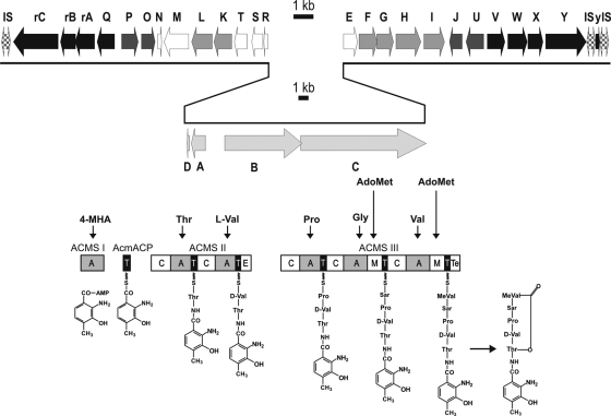 FIG. 2.