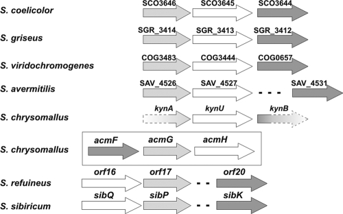 FIG. 10.