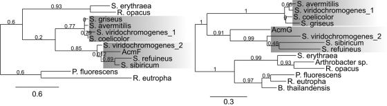 FIG. 9.