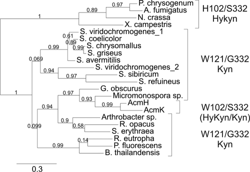 FIG. 7.