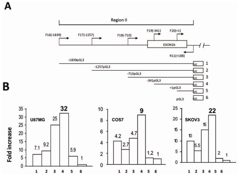 Fig 8