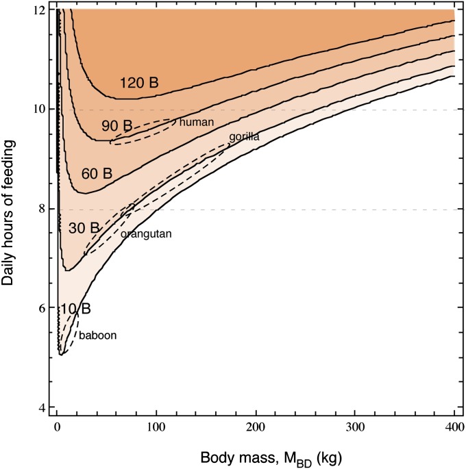 Fig. 3.