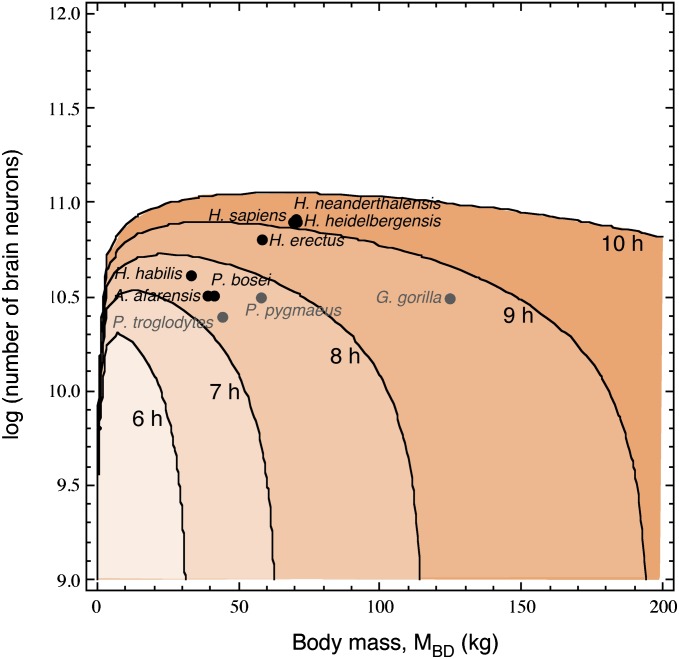 Fig. 5.