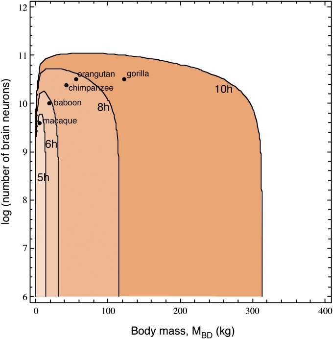 Fig. 2.