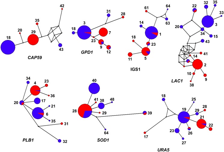 Fig 3