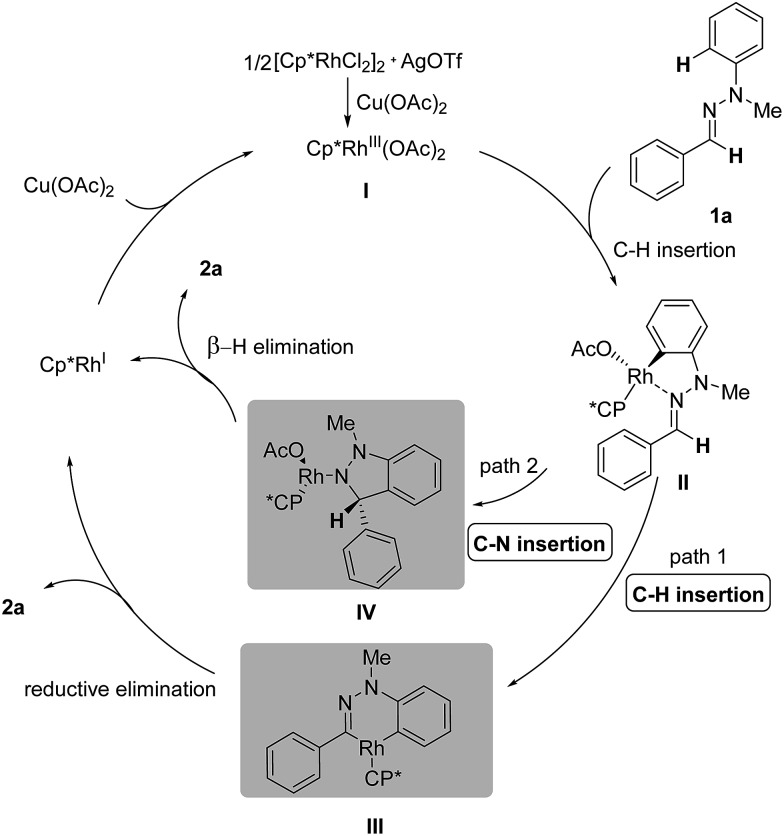 Scheme 4