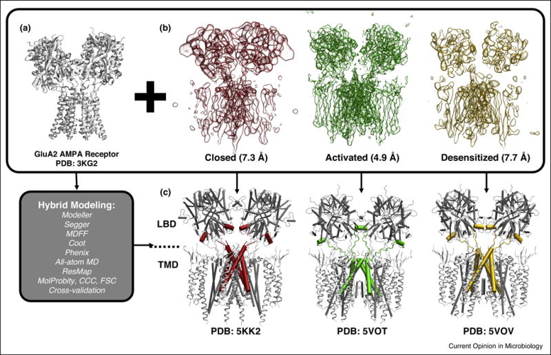 Figure 3