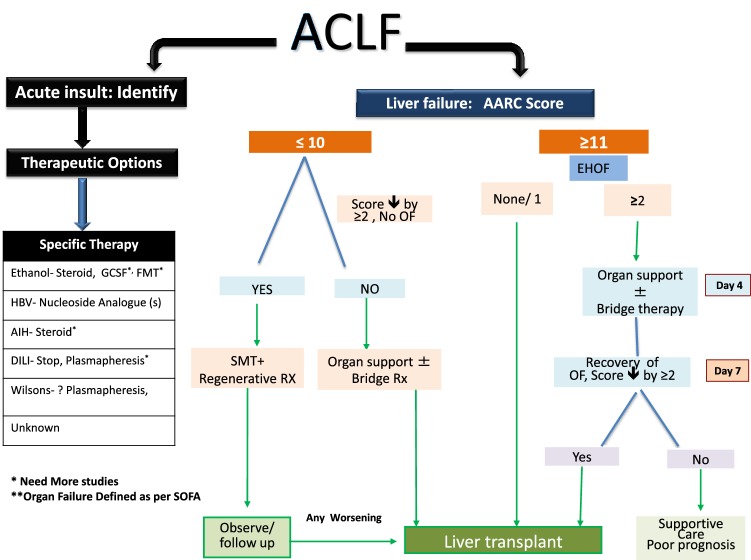 Fig. 4