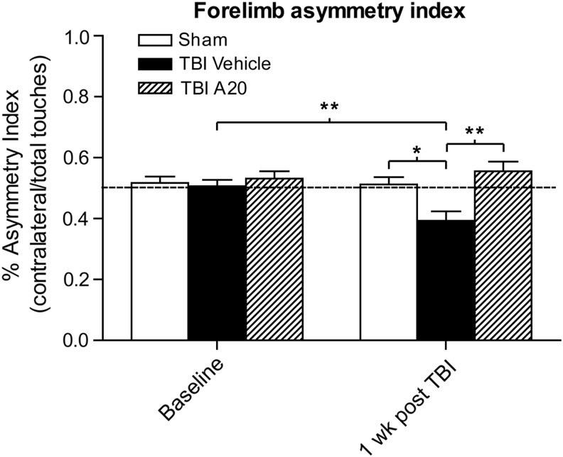 FIG. 6.