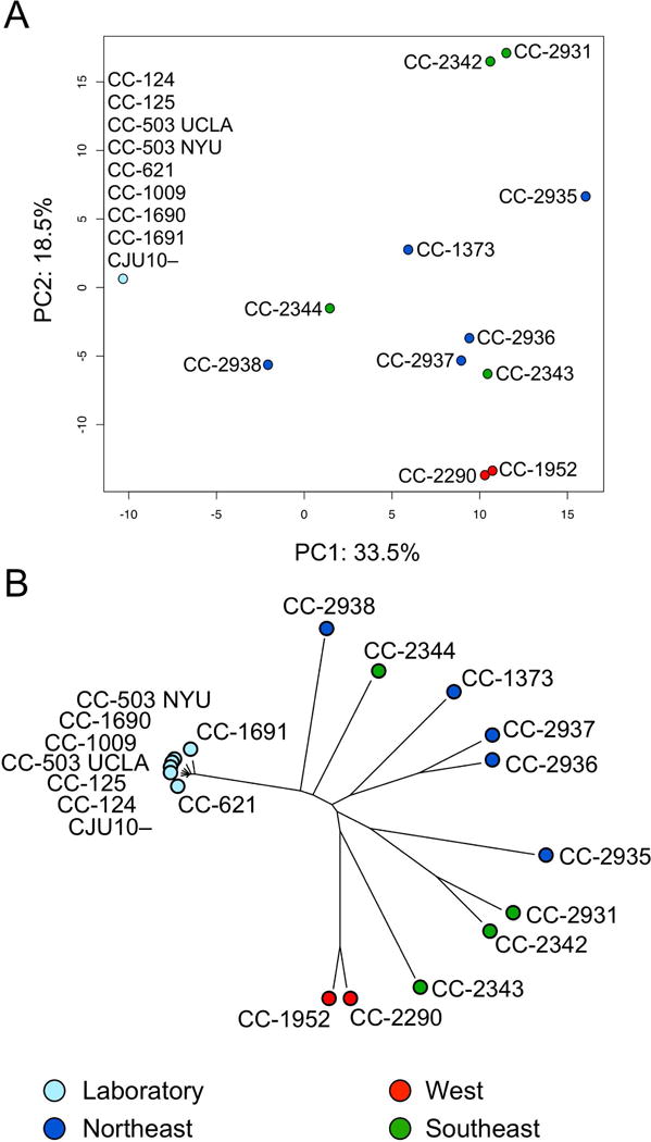 Figure 12