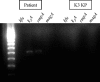 FIG. 2.