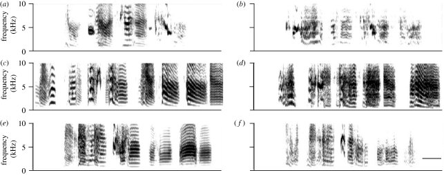 Figure 1.