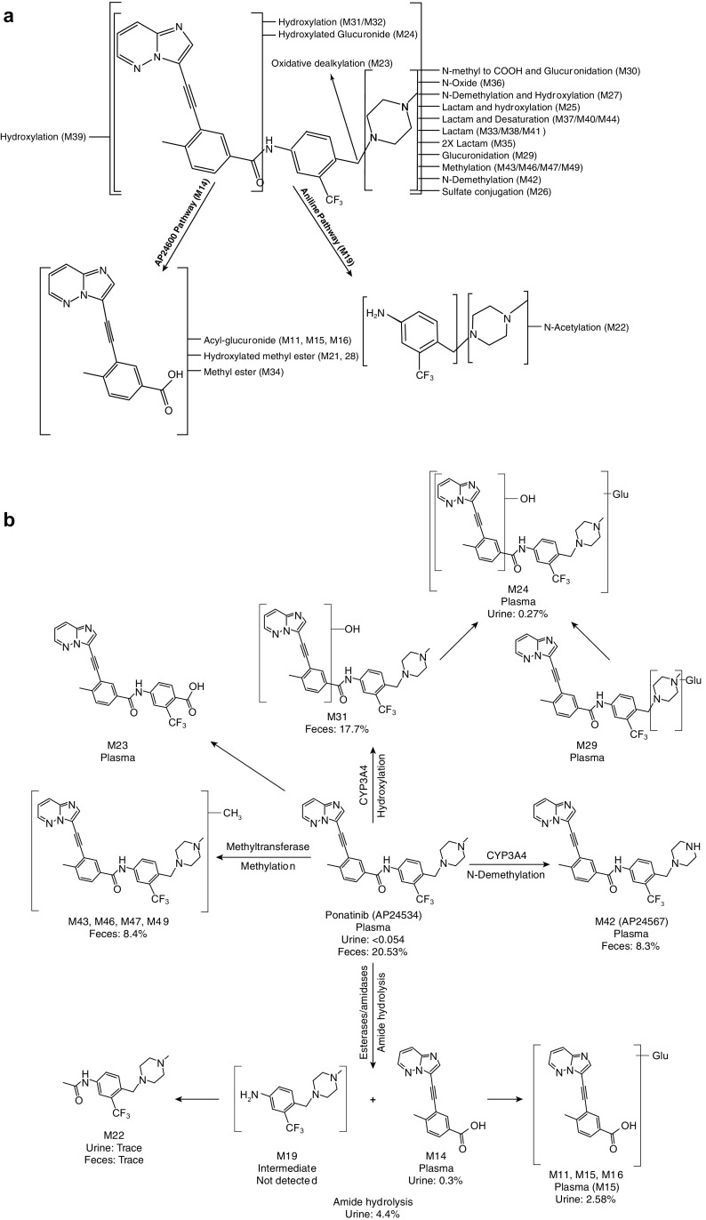 Fig. 6