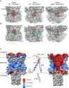 Figure 6