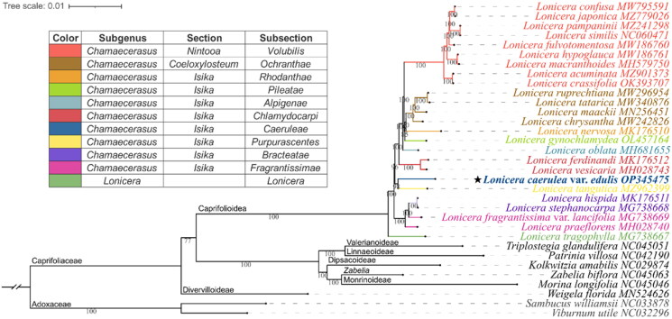 Figure 3.