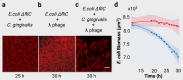 FIG 3