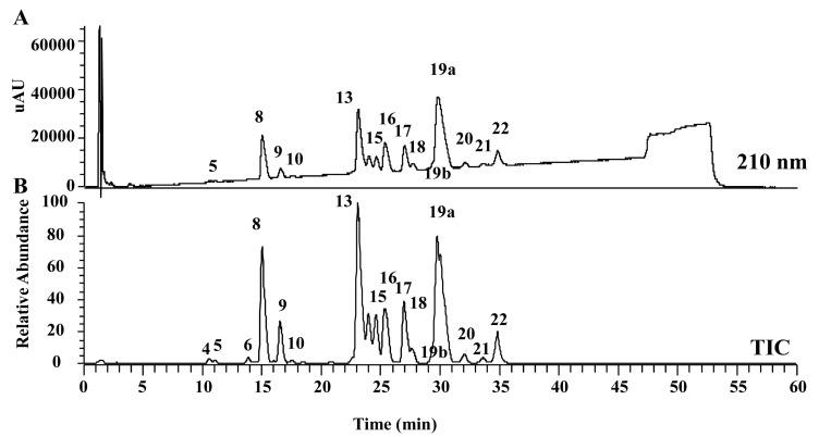 Figure 11