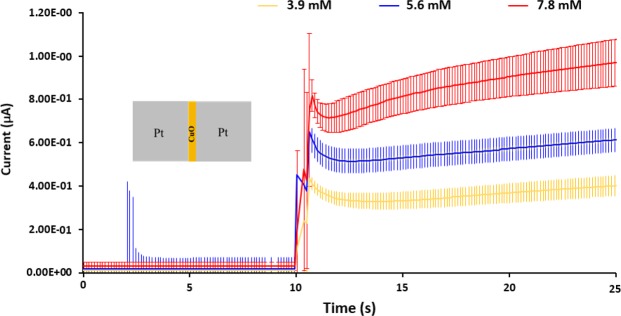 Figure 5