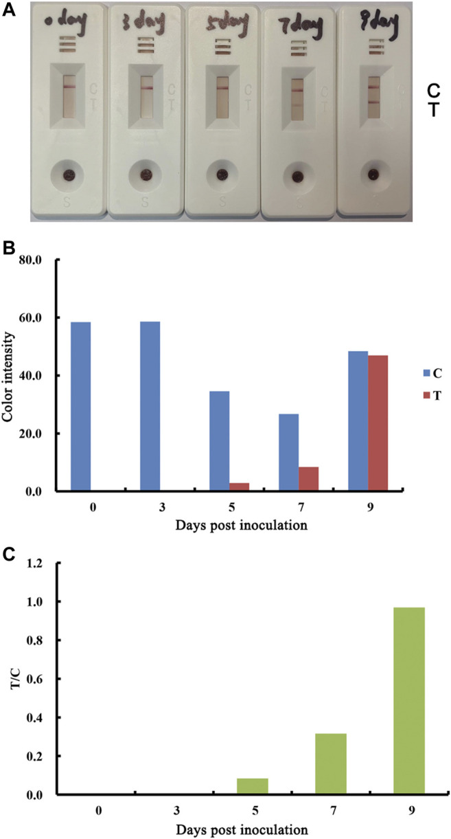 FIGURE 6