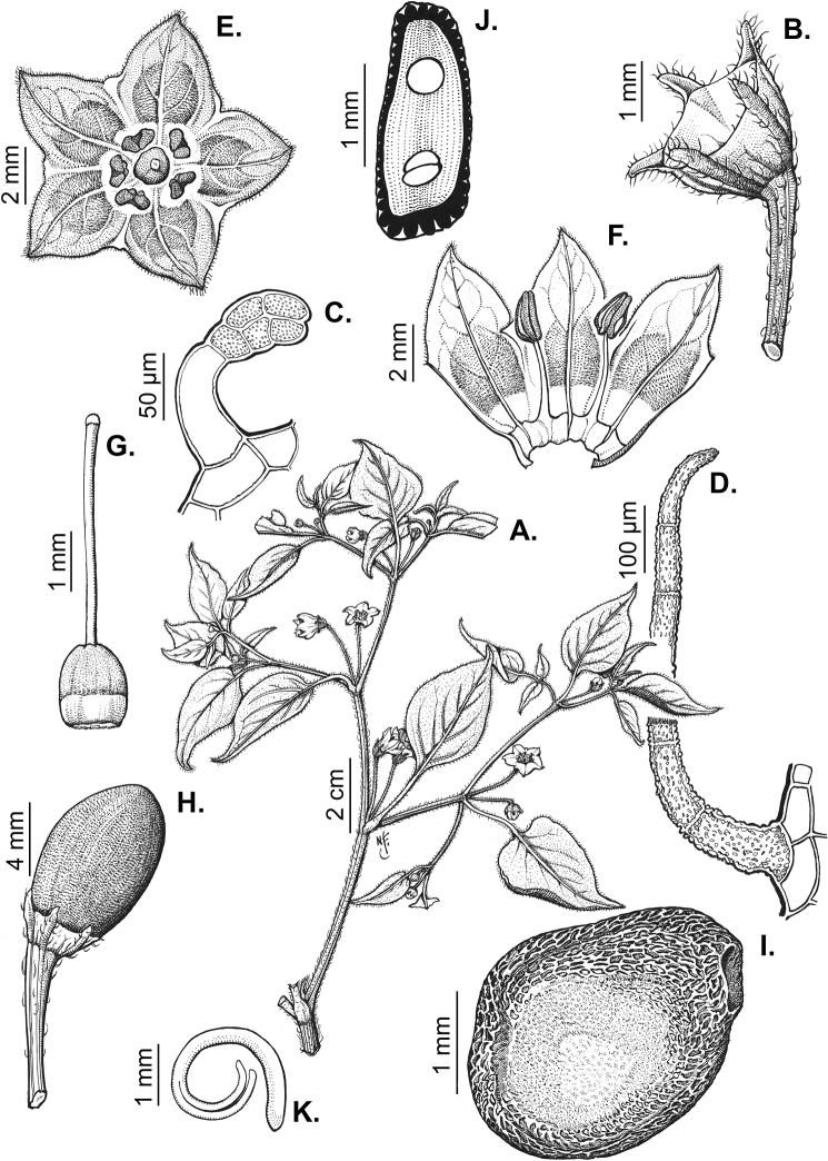 Figure 25.