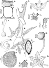 Figure 107.