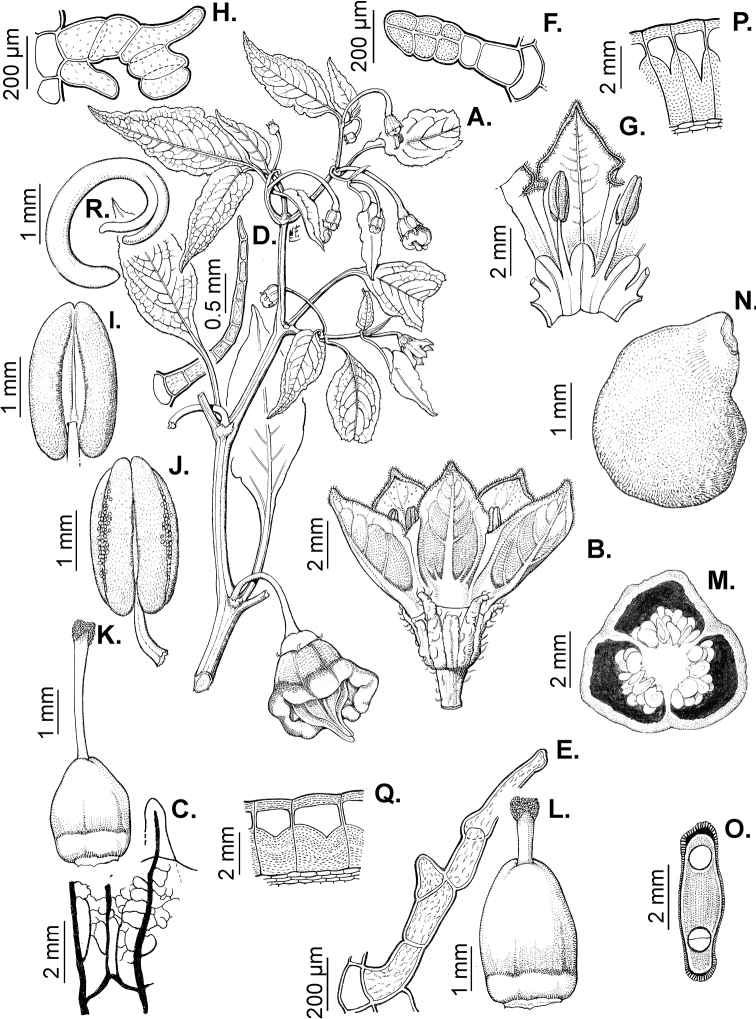 Figure 29.