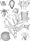 Figure 54.