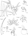 Figure 39.