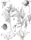 Figure 76.