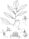 Figure 110.