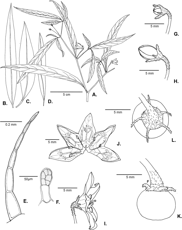 Figure 39.