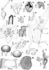 Figure 37.